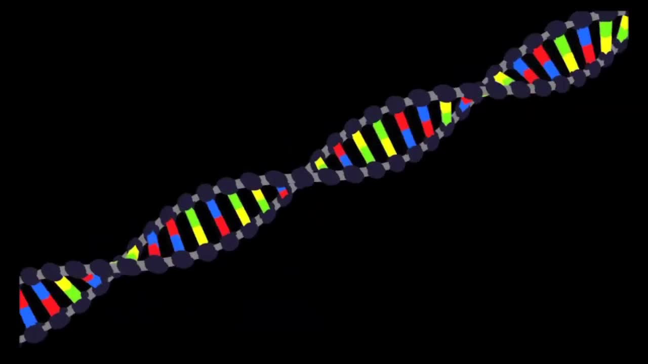 Medcast - Biochemie - Nukleinsäure (DNA und RNA) preview image