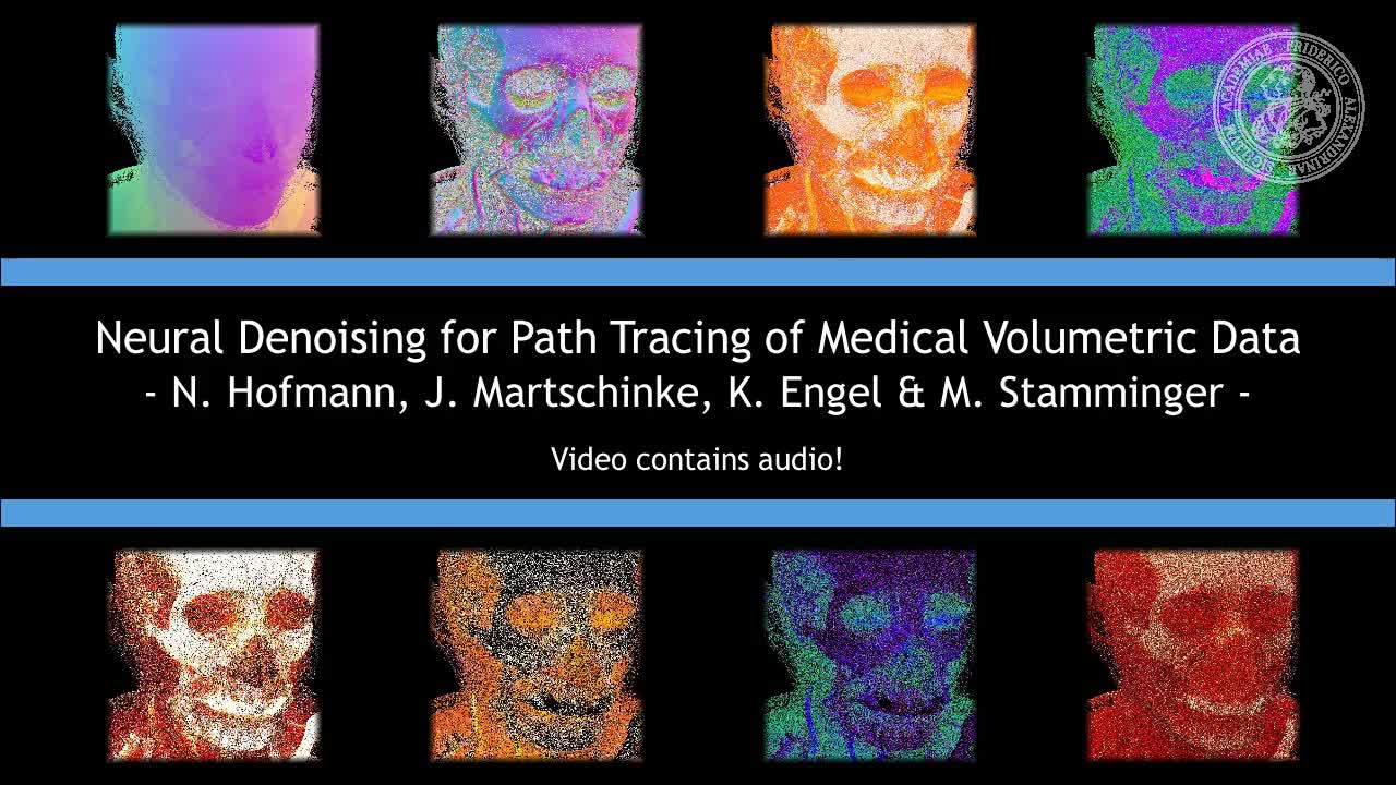 Neural Denoising for Path Tracing of Medical Volumetric Data preview image