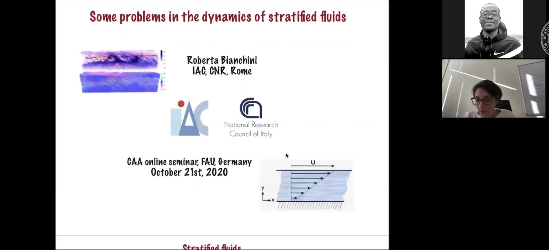 Some problems in the dynamics of stratified fluids (Roberta Bianchini, Istituto per le Applicazioni del Calcolo) preview image